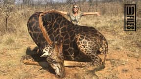 女猎手解释为什么她永远不会后悔杀死野生动物