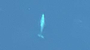 一名女子分享了她在飞机上看到的令人难以置信的鲸鱼照片