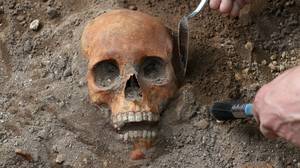 考古挖掘中发现的中世纪人类遗骸