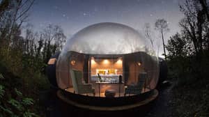 在弗马纳的这些惊人的泡沫穹顶中生活，实现你的林地幻想