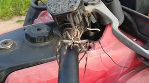巨大的猎人蜘蛛爬上四轮摩托，扑向人类