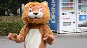 日本动物园狮子“逃生演习”的搞笑视频在网上疯传