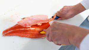 养殖的鲑鱼被喂食化学物质使肉变成粉红色