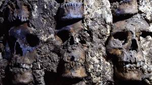 在新挖掘中，在墨西哥城地下发现了100多个头骨