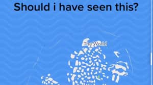 Tiktok用户怀疑迪拜群岛的世界地图形状
