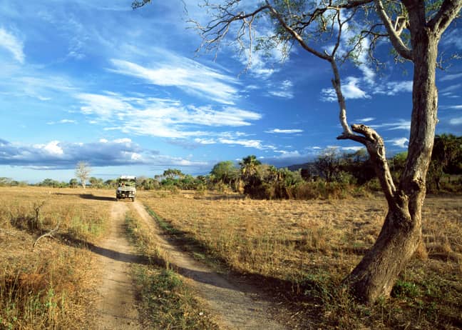坦桑尼亚的Selous Game Reserve。信用：PA