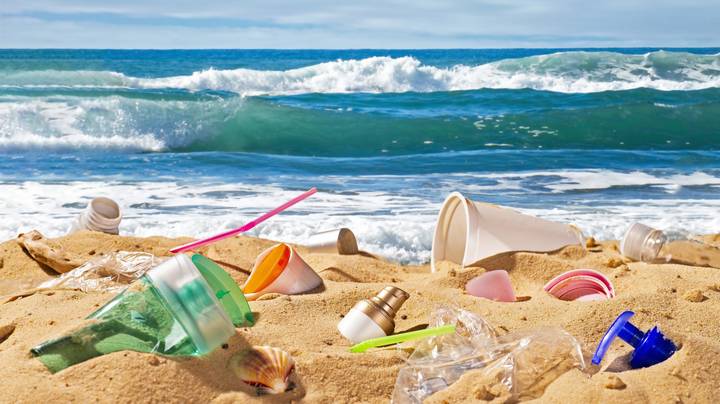 昆士兰州禁止使用一次性塑料吸管、餐具和盘子以拯救海洋生物